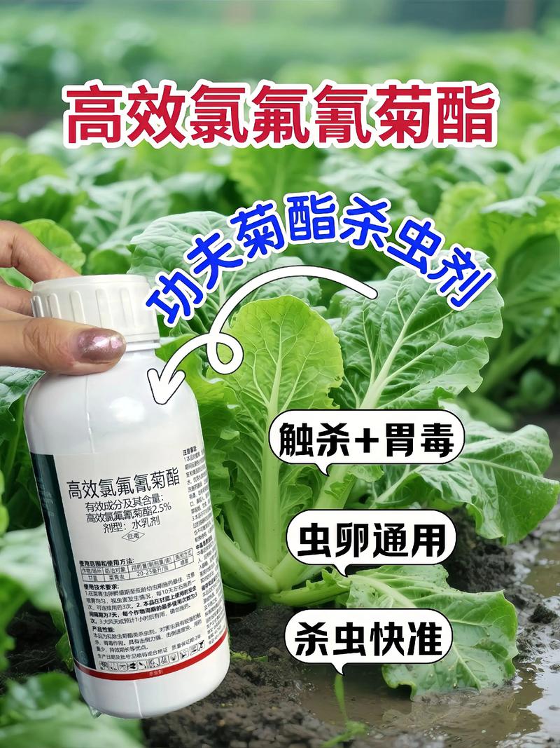 文山代生中心:农药对供卵代生妈妈的危害